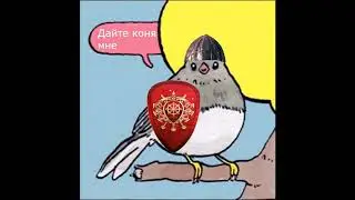 Annoyed bird but добро пожаловать на Сычтуб