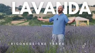 “Quello che nessuno ti dice sul tornare alla terra”