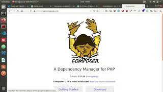 create professional  Laravel website 1