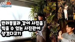 처음으로 파충류까지 같이 찍을 수 있는 사진관이 생겼습니다! New Photo studio with animal