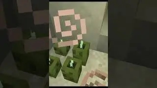 I made a new house in minecraft (full)