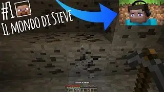 SE STEVE FOSSE UNO YOUTUBER (WEBCAM) - Minecraft ITA #1