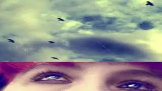 Ekca Liena ~ November in Flight