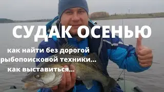 ОСЕННИЙ СУДАК НА ВОДОХРАНИЛИЩЕ...ЛОВЛЯ НА ДЖИГ...