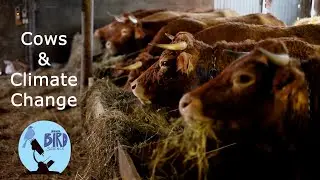 What if India ate as much meat as the US?