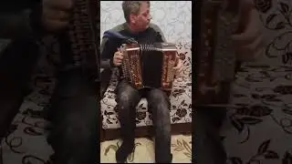 Гармонь Токарев.