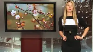 Погода от ТСН24 на 23 марта 2017 года