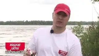 Наглядно о Жидкой Латке
