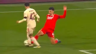 Tomás Araújo a World Class Defender - 2024