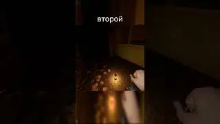 А ГДЕ ФОНАРИК...? 