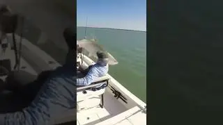 А вы чё думали, что я к вам? 😜😁😎 #reels #tiktok #shorts
