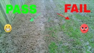 5 reasons why your preemergent failed