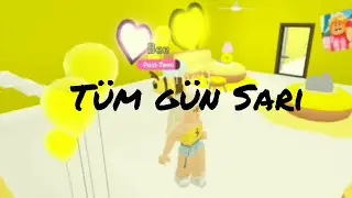 24 SAAT SARI (roblox adopt me)