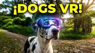 Perros en realidad virtual | Episodio #120