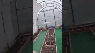 Зачем в теплице широкие дорожки?