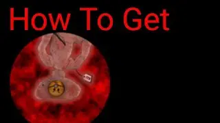 Bear (Alpha) - How To Get The 