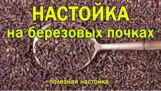 Настойка на берёзовых почках. Настойка на березовых бруньках. Березовые почки на водке. Рецепт.
