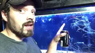 Bringing home a 125 Gallon CHEAP for the FISH ROOM