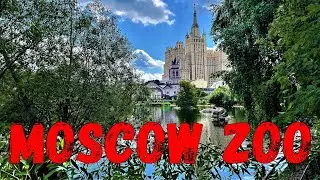 Moscow Zoo Russia short video