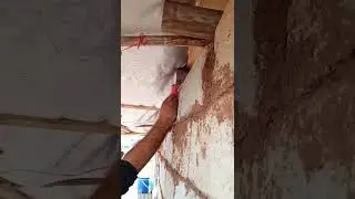 Siverek’te kendi elleriyle kertenkeleyi besleyen çiftçi takdir topladı