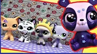 PENNY LINK // huge PET // two cats // LPS unboxing // review