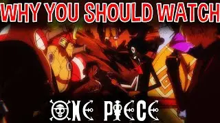 7 Reasons to make you watch one piece | mashup collection