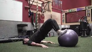 Swiss Ball Hamstring Curl
