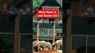 What Nyeri is known for. #kenya #kenyan #top