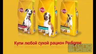 Ролик Перекресток. Pedigree