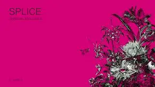 Splice – Water (Track 4 from 
