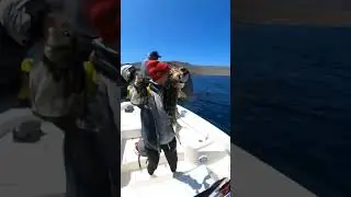 Catch Fish 4 & 5 At A Time with Me