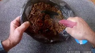 Ферментация табака  в домашних условиях.