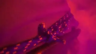 Gaby G x Triangles - Chemicals (Music Video)