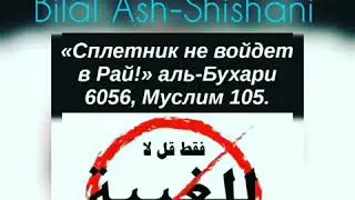 Мотт элдит| Билал Аш Шишани