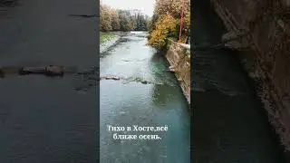 Хоста