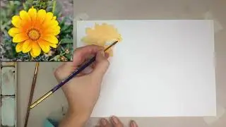 Как нарисовать цветок  Гербера