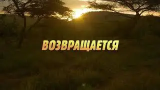Последний герой герой новый сезон чемпионы против новичков