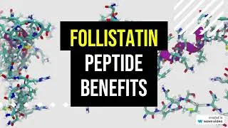 Follistatin Peptide: total overview