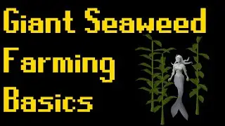 Basic Giant Seaweed Farming Guide 2020 (OSRS)