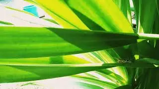 lombok vlog #1