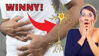 To on może powodować Twoje problemy trawienne! Nerw błędny 🦠