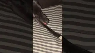 When You Wanna Sleep But theres a Scary Lucy Under My Pillow 😴 🛌 💤