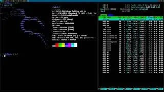 Kali Linux and DWM/ST: A Minimalistic and Customizable Setup Demonstration. 