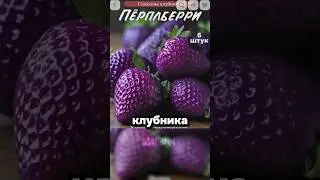 Strawberry scam