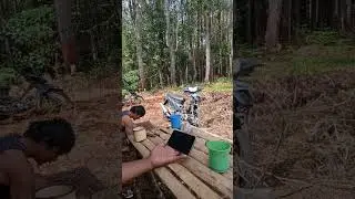 berkemah di hutan#shorts