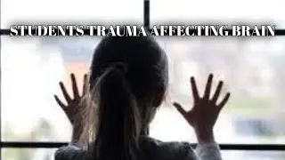 HOW TRAUMA AFFECTS THE STUDENT BRAIN.      