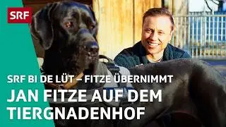 Jan Fitze im Tierheim in «Echte Tierhelden» | Fitze übernimmt S1 4/4 – SRF bi de Lüt | SRF