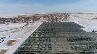 Тепличный комплекс Тепличные Технологии Казахстана