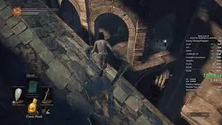 Dark Souls 3 Any% No Teardrop (no doll skip) in 39:58