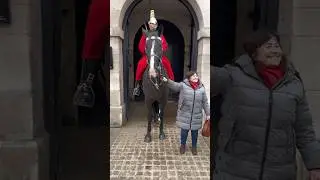 TOURIST GRABS THE HORSE REINS AGAIN